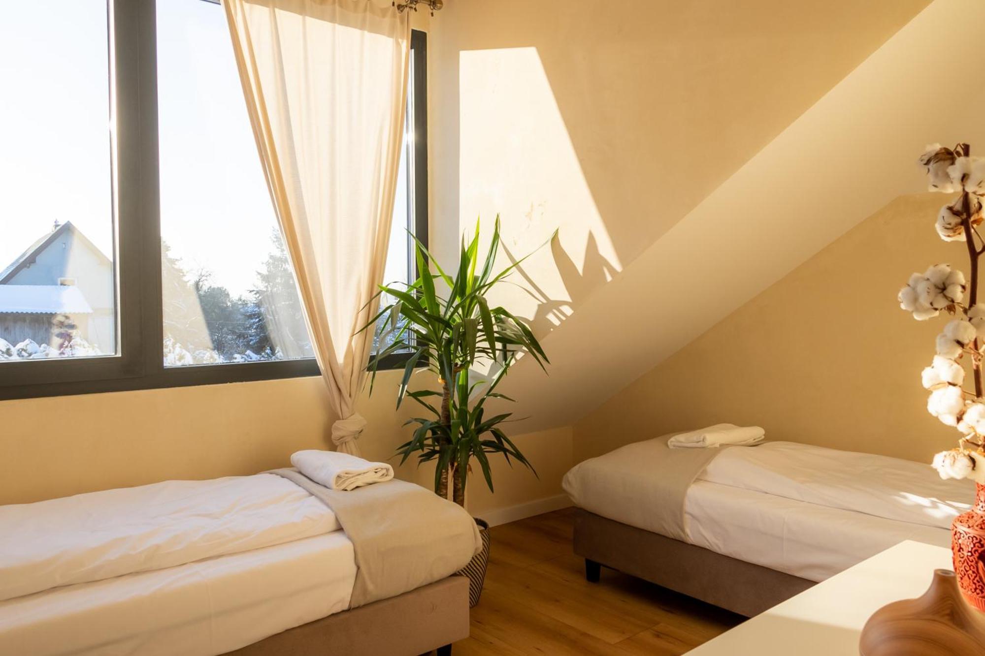 Blisshouse Luxurious Guesthouse Calm And Energetic Spot Near By City Surrounded By The Forest Where You Will Find Your Peace And Your People Cracovia Esterno foto